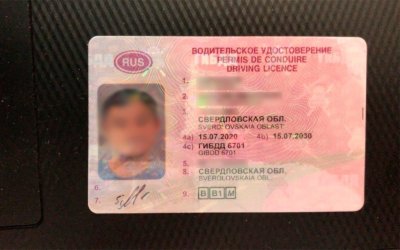 Как узнать номер водительского удостоверения? Запрос в Госавтоинспекцию